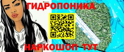 Альфа ПВП Пушкино