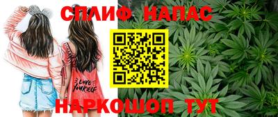 Альфа ПВП Пушкино