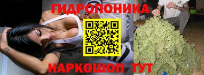 прущий лед Пугачёв