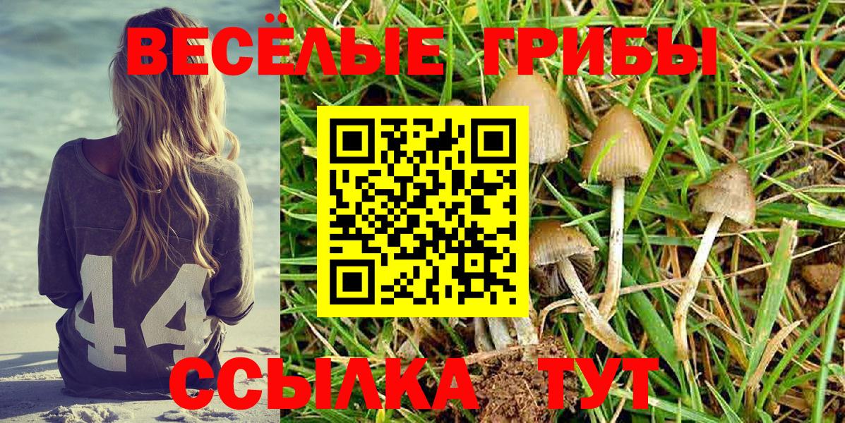 Галлюциногенные грибы GOLDEN TEACHER  Вход с VPN  Сыктывкар  Галлюциногенные грибы ЛСД 